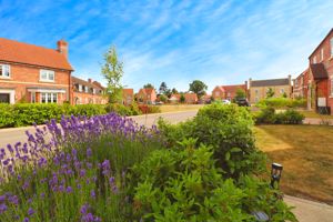 PUMP LANE- click for photo gallery